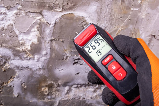  St Louis, MO Mold Removal Pros
